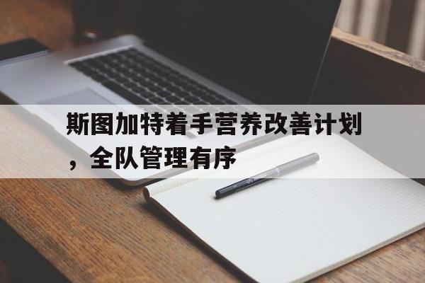 斯图加特着手营养改善计划，全队管理有序的简单介绍