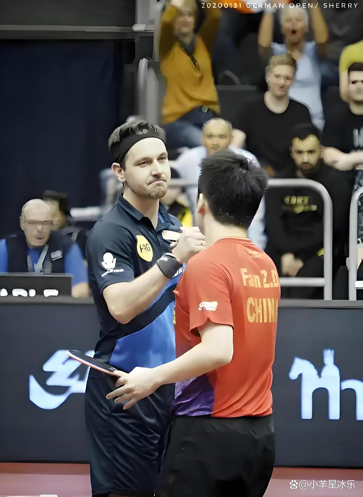 包含奥地利乒乓球队逆转德国乒乓球队，波尔高光表现的词条