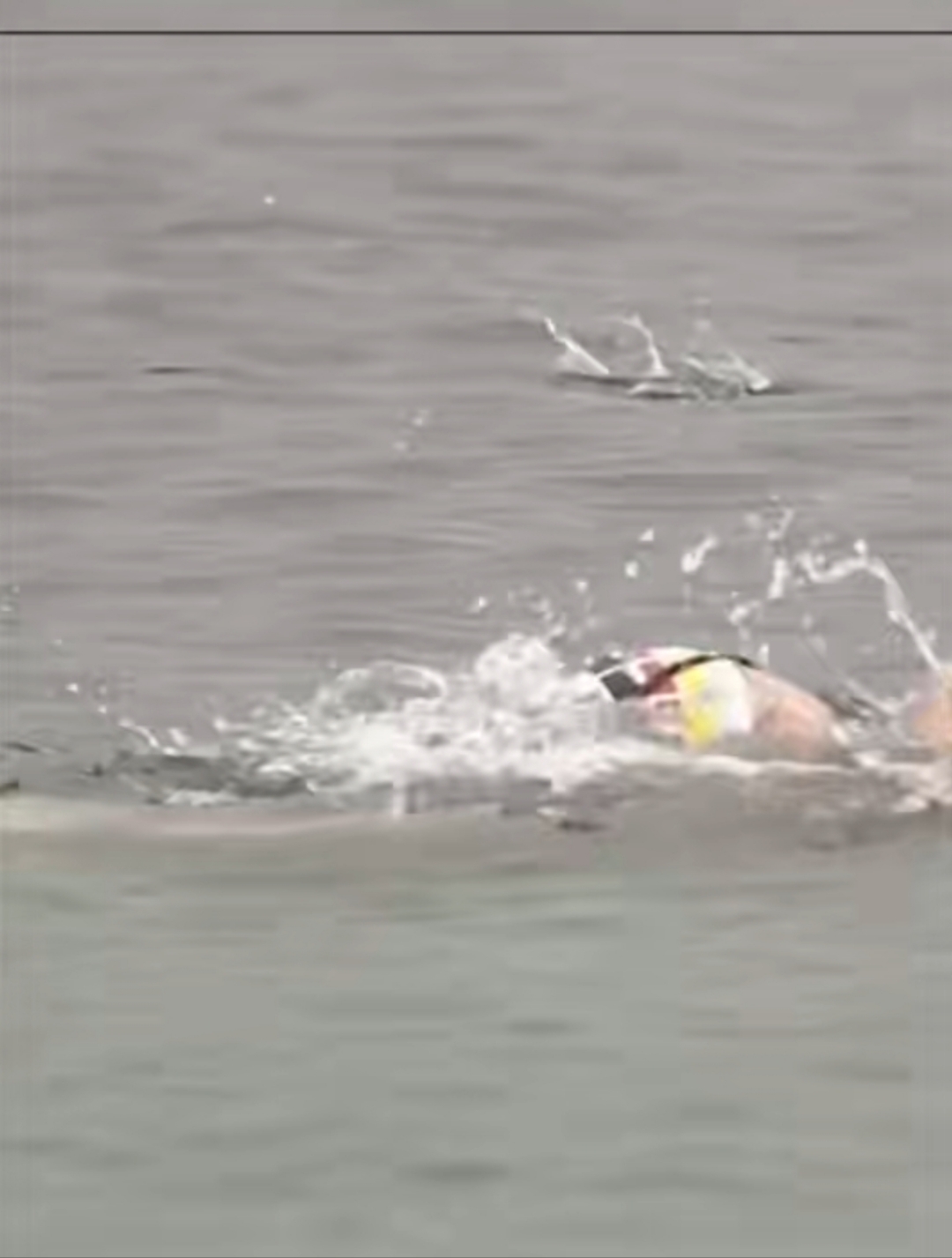 包含游泳场外新闻不断，话题热度爆表的词条