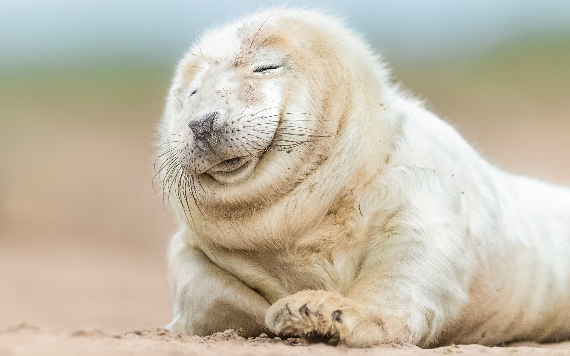 广厦末节演逆转好戏,戈贝尔成关键先生