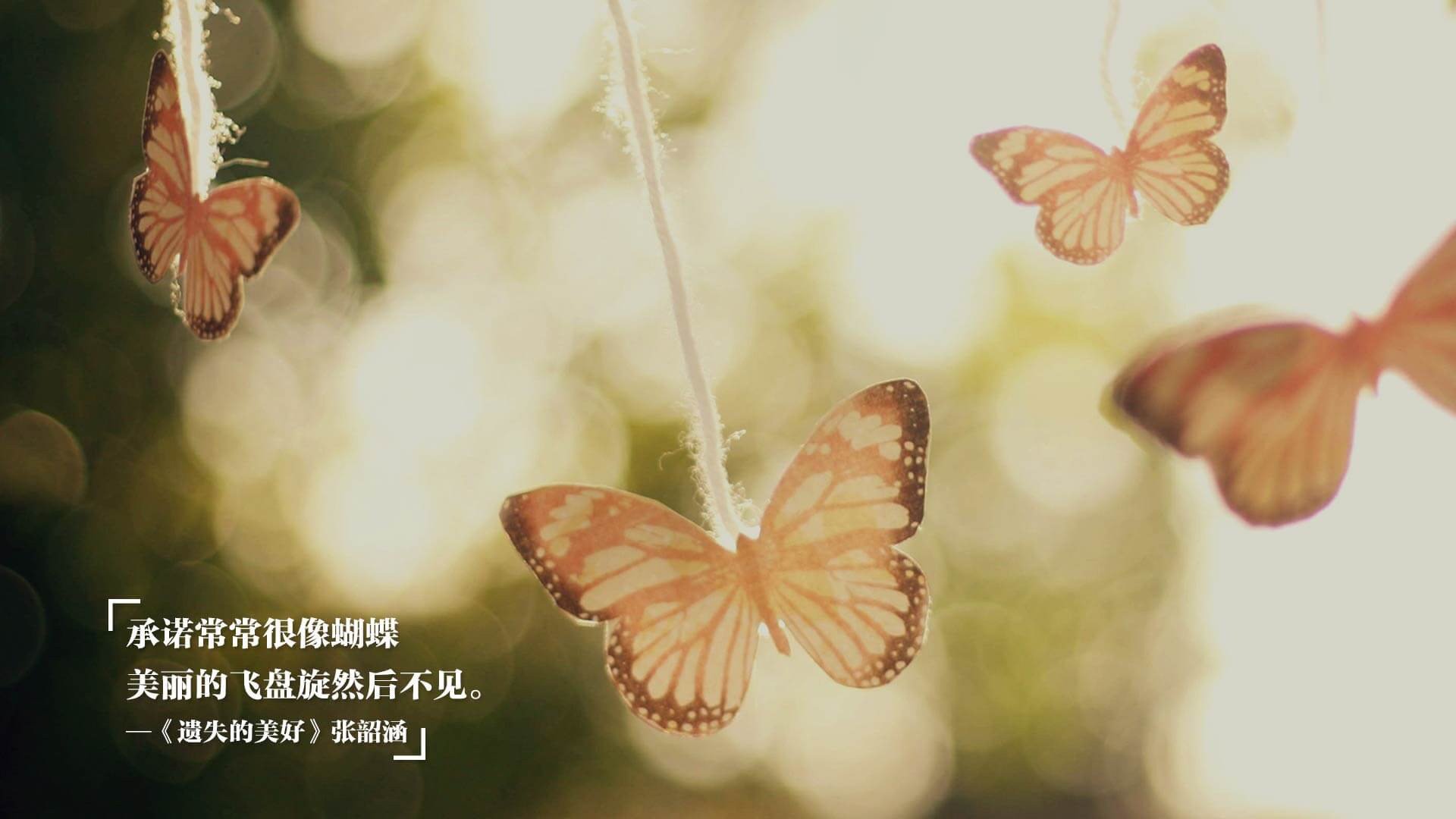 克瓦拉茨赫利亚压制级发挥助波兰力克爱尔兰，欧洲足坛再现新星光芒