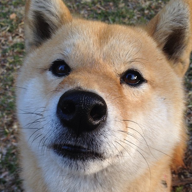 尼克斯决胜局力克魔术,班凯罗赛后评分惊艳却难救主