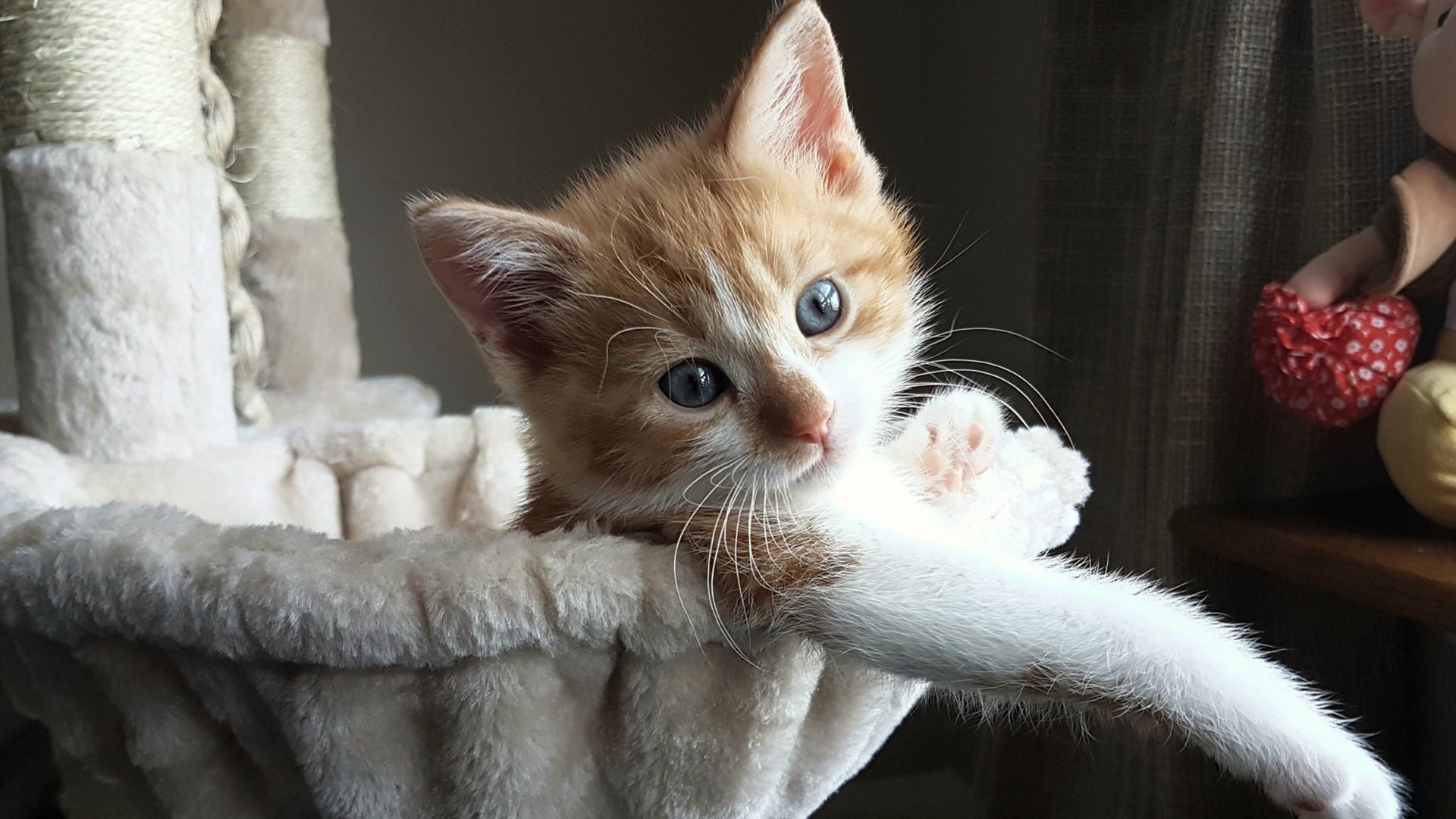 稳定，是最锋利的冠军之剑