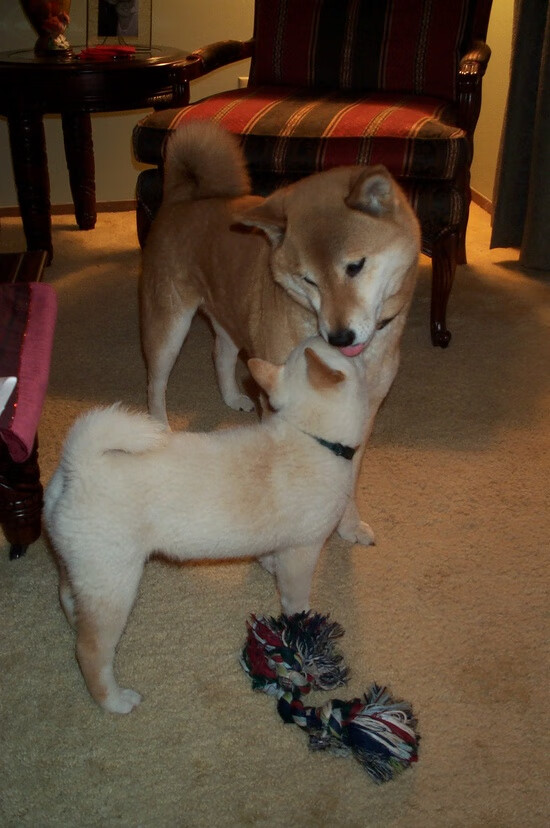 无声的指挥家，英超争冠之夜，维尼修斯如何用静默掌控战局