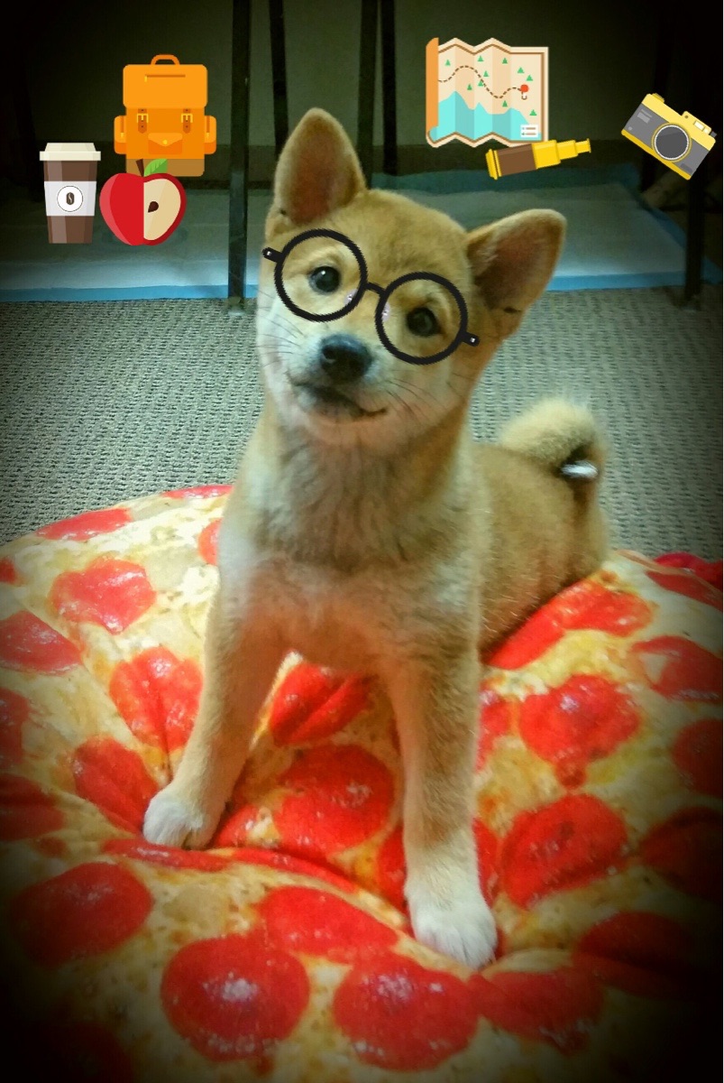 独行侠主场力压凯尔特人，杰伦格林末节爆发成关键先生