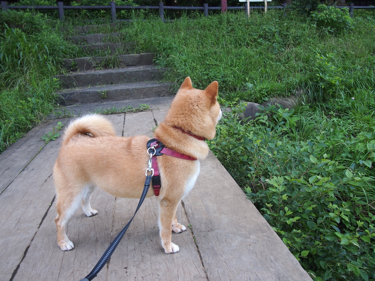 巴黎惊天逆转！C罗绝境救主，征服毕尔巴鄂铁血防线