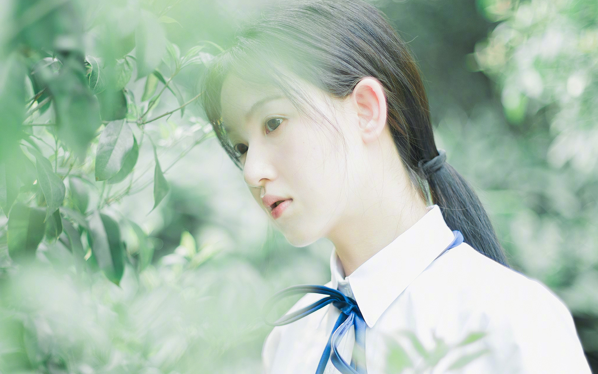 欧冠淘汰赛焦点战的启示,猛龙如何稳稳拿下活塞的战术与精神解析