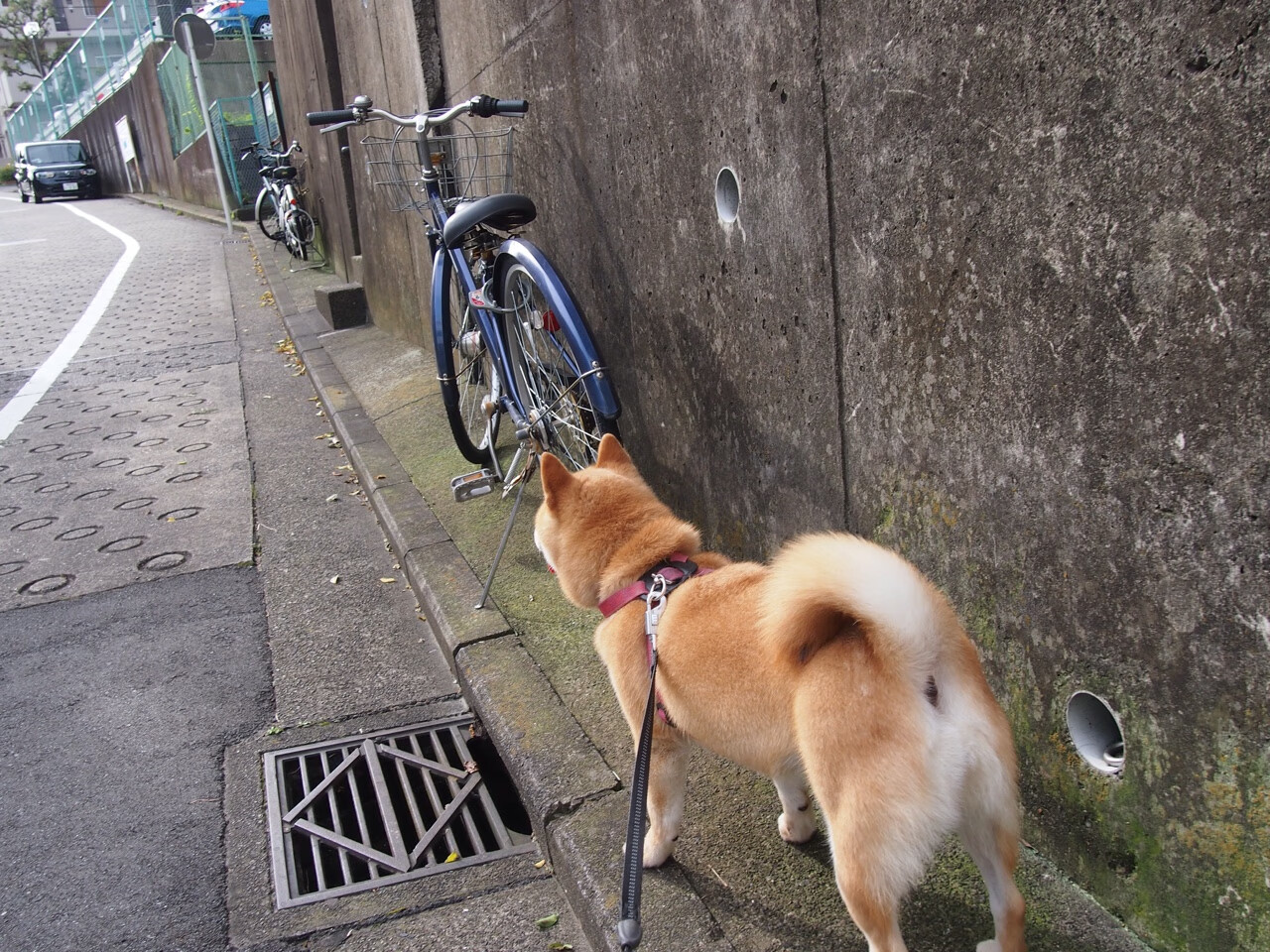 美加墨世界杯焦点战，利物浦生死战逆转巴西，书写足球传奇